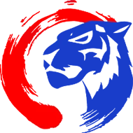 skylangit99.com